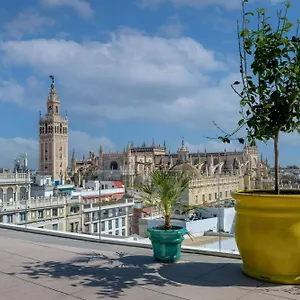 https://querencia-de-sevilla-autograph-collection.es-andalucia.com